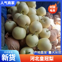 【实力供应】皇冠梨产地直发一条龙服务皮薄多汁对接批发市场