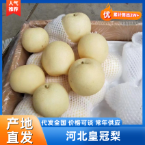 【现货】河北皇冠梨万亩果园现货直发可常年供应市场欢迎咨询