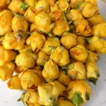【金花茶叶】质量保证，品种纯正，假一赔十,大量有货