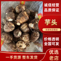 8520毛芋头！电商！市场！超市！全国发货坏烂包赔