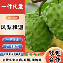 云南凤梨释迦一件代发产地直发一手货源对接各大电商平台