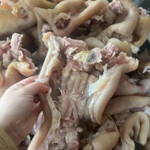 精品熟牛蹄筋原味真空包装去骨品质保证价格美丽欢迎咨询