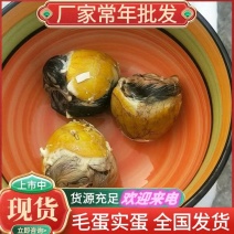 毛蛋实蛋厂家常年批发货源充足价格便宜随时联系