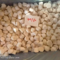 单冻扇贝40/60规格价格优惠常年供应