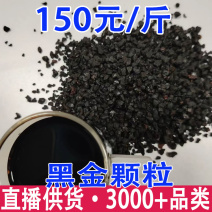 黑金颗粒桦树茸黑金颗粒一件代发