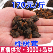 桦树茸桦褐孔菌一手货源批发