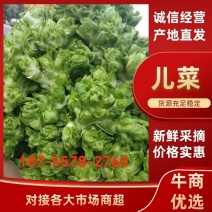 儿菜，万亩基地，产地直销直发一条龙的服务