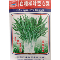 白梗柳叶空心菜种子叶片浅绿柳叶形梗翠玉色口感脆嫩