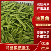 广东油豆角大量现货供应，规格齐全一手货源，可视频看货