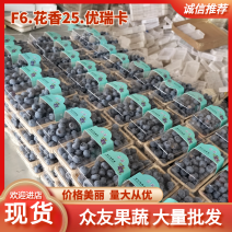 L系列，蓝莓大量上市，新鲜蓝莓产地直发一手货源欢迎选购