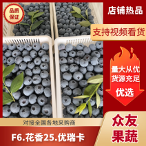 [牛]蓝莓精品上市，品种H5.现摘现发，新鲜采摘全国整车发货