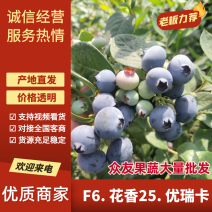 [牛]云雀蓝莓，F6H5等品种齐全产地一手货源保质保量色泽美