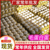 毛蛋白蛋厂家发货对接全国电商大型批发市场欢迎咨询