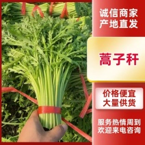 精品蒿子杆产地直发一手货源量大价优欢迎新老客户致电咨询
