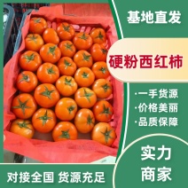 硬粉西红柿，大红西红柿产地一手货源质量保障对接全国
