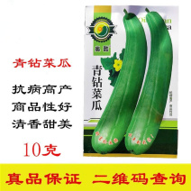 青钻菜瓜种子果皮青绿果肉白色味清香甜美