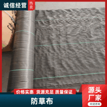 防草布厂家除草布透气保湿抗老化园艺地布全国发货