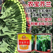 农宝芥兰种子株型直立叶片肥厚抗病茎粗鲜嫩美味