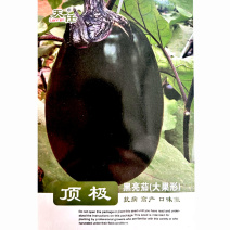 牛心茄种子天任黑亮茄大果早熟5g抗病早春露地种植