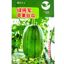 绿将军苹果丝瓜种子早生瓜短圆筒型口感香脆不易老化
