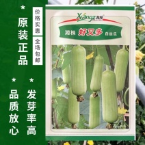 好又多白丝瓜种子圆筒形瓜皮嫩白色皮薄味甜