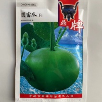 圆富瓜瓠瓜种子早熟坐果多细嫩多汁口感清爽