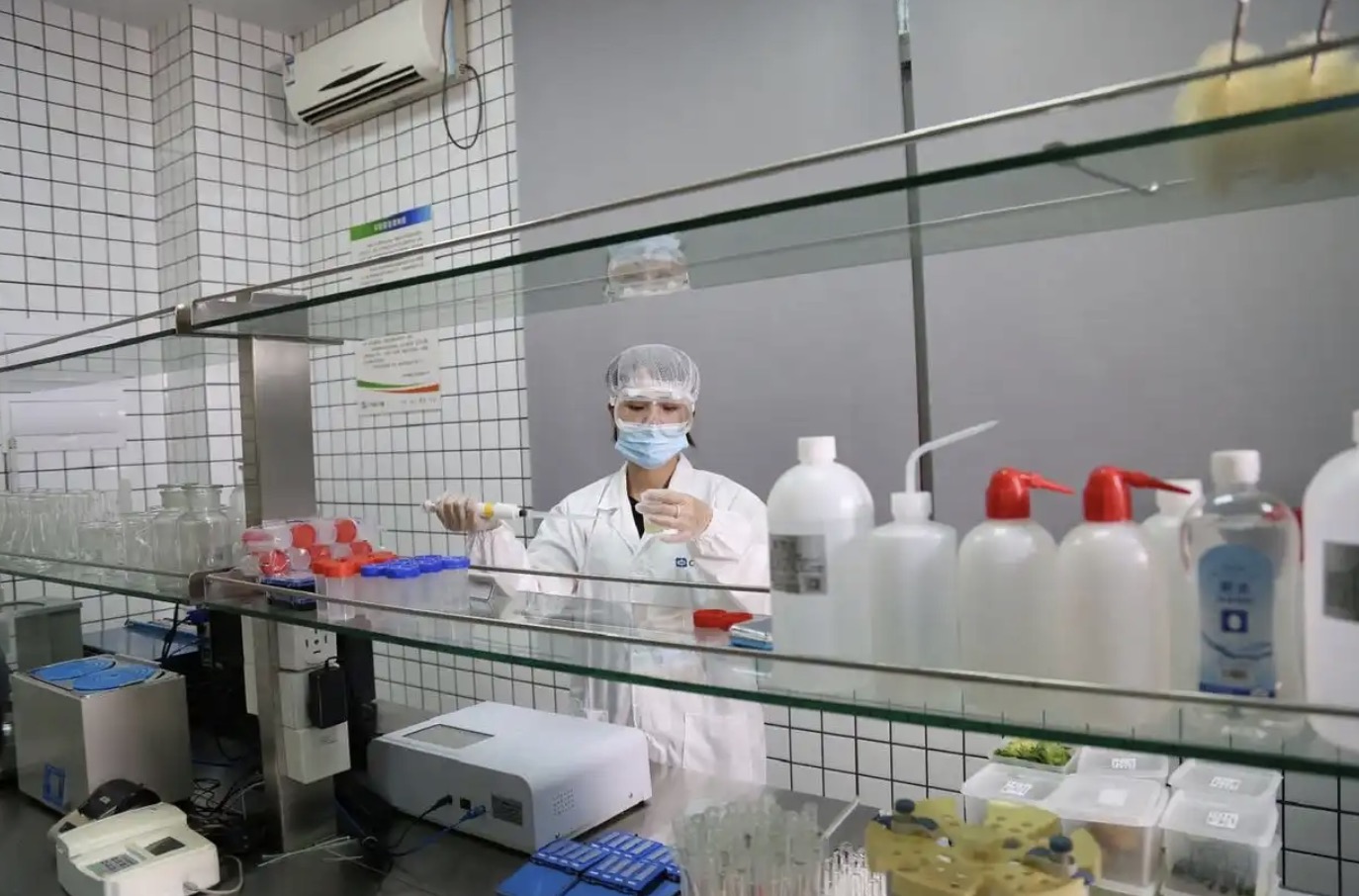 实验室技术人员正在使用折光仪测量猫山王果肉的糖度