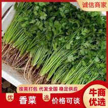 大量供应一手货源基地直供代发全国市场商超，