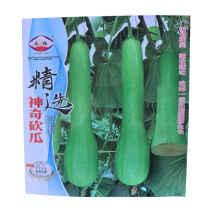 砍瓜种子高产神奇砍瓜种子随吃随砍5粒