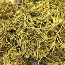 黄龙根黄龙草黄龙草根黄龙根