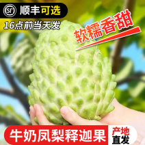 【2斤】释迦果新鲜水果当季番荔枝
