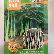 芦笋种子航育998厂家直发售后保障量大优惠品种纯正保真