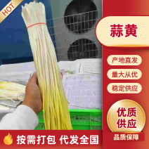 遵化蒜黄，精品蒜黄，唐山蒜黄，品质保证，价格优惠