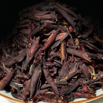 云南古树红茶紫芽孢红茶产地大货批发