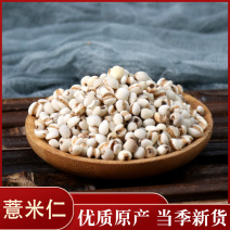 薏米药用无硫薏米薏仁米贵州米麸炒薏仁米
