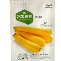 水果香蕉西葫芦种子早熟皮色金黄鲜艳果肉细脆嫩