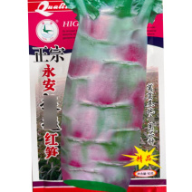 正宗永安红笋种子飞桥莴笋种子中晚熟皮薄香味浓肉翠绿