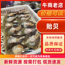 【精选好货】优质贻贝大量有货品质保证量大从优