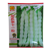 压趴架十一粒芸豆种子改良九粒白芸豆种子架芸豆角种子