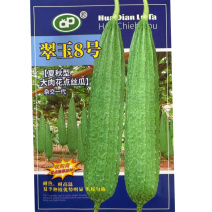 翠玉8号大肉花点丝瓜种子耐热耐高温头尾匀称基地种植