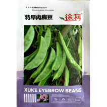 早熟肉扁豆种子肉厚紫红色花结荚率高眉豆春夏秋播种