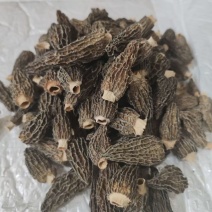 羊肚菌羊肚菌羊肚菌羊肚菌批发