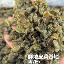 大量供应新鲜野生地皮菜地木耳产地直供精选无杂质