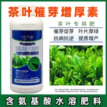 茶叶专用叶面肥催芽壮芽素叶片肥厚茶叶专用含氨基酸水溶肥料