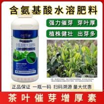 茶叶催芽增厚素茶叶催芽剂专用叶面肥芽嫩芽多氨基酸水溶肥