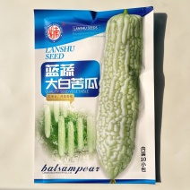 蓝蔬大白苦瓜种子50克大包装基地高产抗病耐寒耐热四季