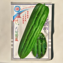 蓝蔬油青苦瓜种子50克大包装耐热耐寒多肉苦瓜种籽翠玉绿色
