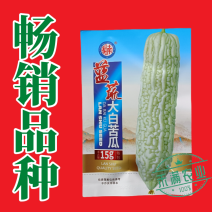 蓝蔬种业蓝山大白苦瓜种子基地优选高产抗病耐寒耐热四季蔬菜