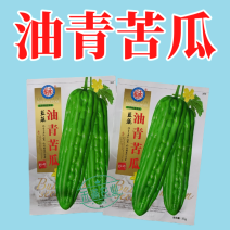 油青大苦瓜种子耐热耐寒多肉苦瓜种籽早熟翠玉绿色苦瓜种籽