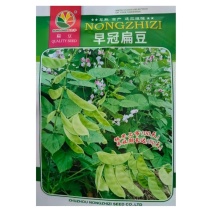 早冠扁豆种子青白色早熟结荚位低耐热耐病耐旱
